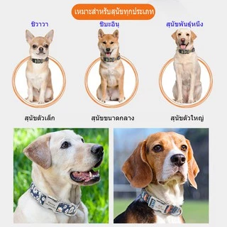 ปลอกคอสุนัข ปรับขนาดได้ หัวเข็มขัดโลหะ แกะสลักชื่อฟรี