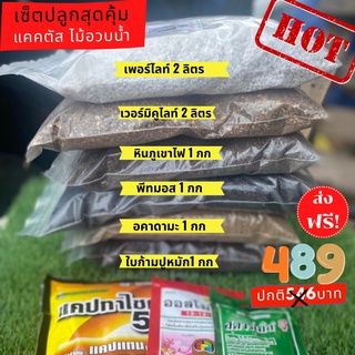 ส่งฟรี เซ็ตวัสดุปลูกและปุ๋ย สุดคุ้ม จบครบที่เดียว เหมาะกับปลูกแคคตัส ดินปลูกระบองเพชร ดินปลูกไม้อวบน้ำ ไลทอปและพืชอื่นๆ