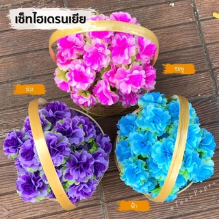 กระดาษห่อเหรียญ เซ็ทดอกไฮเดรนเยีย (5ห่อ)