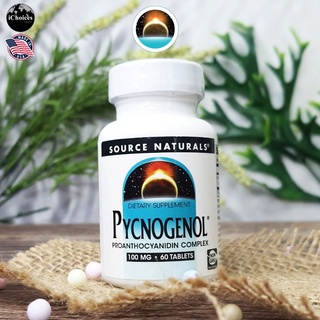 เปลือกสนฝรั่งเศสสกัด Source Naturals® Pycnogenol 100 mg 60 Tablets