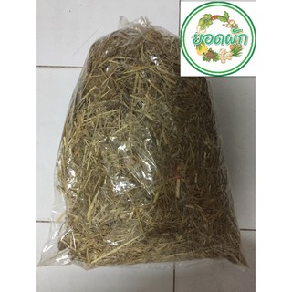 ฟางบด สำหรับปลูกต้นไม้ คลุมดิน 1กิโลกรัม 10บาท ยินดีให้คำแนะนำ