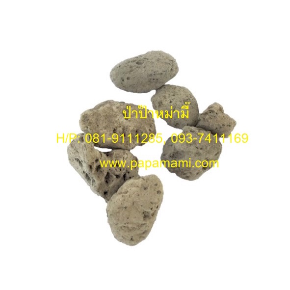 My Image 25