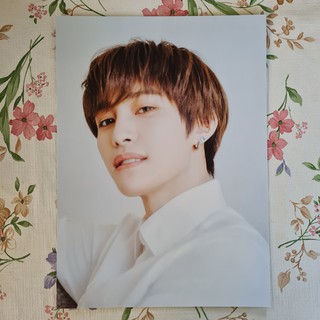 [แท้/พร้อมส่ง] หน้าโฟโต้บุ๊คแบ่งขาย หยางหยาง Yangyang WayV Holiday Photo Book