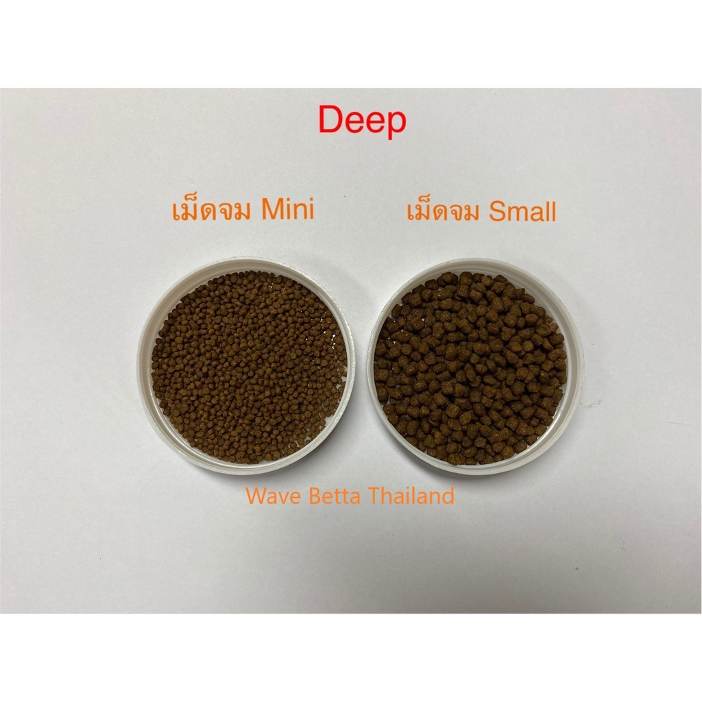 DEEP INSECT INSIDE!! (อาหารปลาทองสูตรผสมโปรตีนจากแมลง โปรตีนสูง เร่งโต เร่งสี ไม่ทำให้น้ำขุ่น) ราคา ถูกที่สุด ดีลบีเคเค แกลเลอรีภาพที่ 4