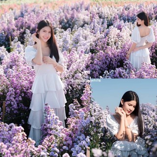 บอลลูนกระโปรงชั้น ราคา 1490