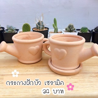 🍃💦กระถางเซรามิค ฝักบัวน่ารักๆ กระถางปลูกแคคตัส ไม้อวบน้ำสวยๆ 🌸🍃