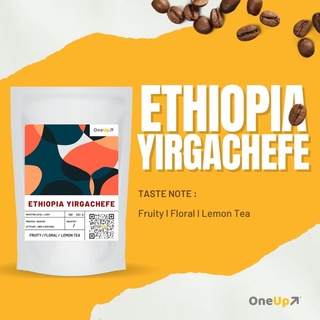 OneUp เมล็ดกาแฟคั่วอ่อน Ethiopia Yirgachefe G2   กาแฟดริป