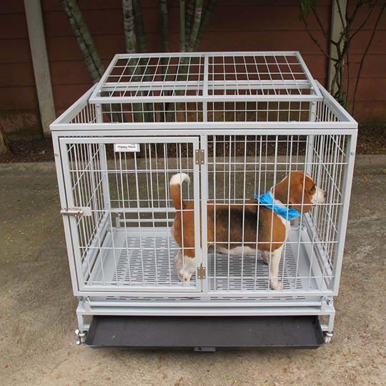 กรงสุนัขพับได้ ไซส์ M สีเทาอ่อน Happy Haus