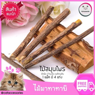 Cat Accessories ไม้มาทาทาบิ สำหรับแมวกัดเล่นบำรุงเหงือกและฟันและลูกแมว ไม้สมุนไพรกลิ่นที่แมวชอบ บรรจุ1ห่อมี4ไม้