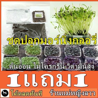 🔥โปร 1แถม1ชุดปลูก ต้นอ่อนมอร์นิ่งกลอรี่ ออร์แกนิค ครบชุด เมล็ด + ดิน + ถ้วย + คู่มือ พร้อมปลูก ผักบุ้ง ผักงอก ไมโครกรีน