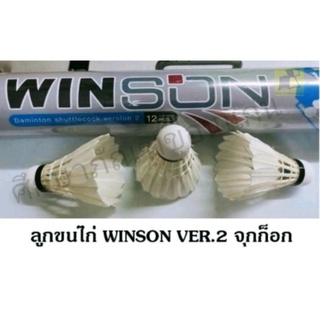 ลูกแบดมินตัน ยี่ห้อ WINSON รุ่น VERSION2