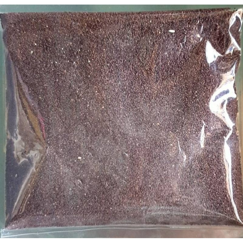 (สินค้าหายาก)เมล็ดหญ้าปากควาย อาหารสุดโปรดนกเขาชวา ทำให้นกขันเสียงไพเราะ 150g