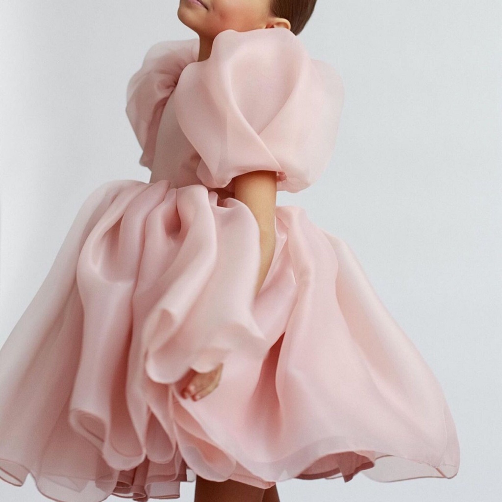Wfrv ชุดเดรสเจ้าหญิง ลายดอกไม้ หรูหรา สําหรับเด็กผู้หญิง แฟนซี คริสต์มาส Tulle Tutu