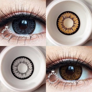 คอนแทคเลนส์ Wink Lens Nudy ค่าสายตา 0.00 ถึง -5.00