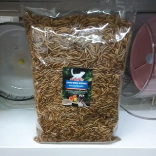 Dried Meal Worms 500g. หนอนนกอบแห้ง อาหารเสริมสำหรับสัตว์เลี้ยง สัตว์ฟันเเทะ