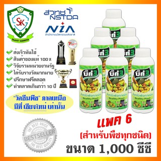 วัคซีนพืช บิ๊ก3 / บิ๊ก ฮอร์โมนพืช ขนาด 1 ลิตร (สำหรับพืชทุกชนิด) แพค 6 ปลอดภัยต่อเกษตรกร ใช้ป้องกันและควบคุมโรคพืช