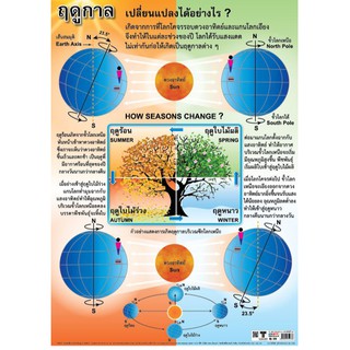 โปสเตอร์เรื่องฤดูกาลเปลี่ยนแปลงได้อย่างไร #EQ-273  โปสเตอร์กระดาษ โปสเตอร์สื่อการเรียนรู้