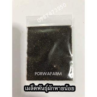 เมล็ดพันธุ์ผักพายน้อย ผักพายน้อย 15,000 เมล็ด จัดส่งทุกวัน ปลูกง่ายทนต่อโรค