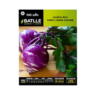 เมล็ด กะหล่ำปม สีม่วง - PURPLE VIENNA KOHLRABI