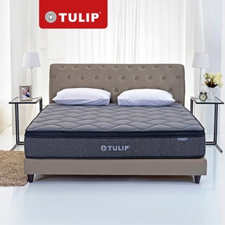 Tulip ที่นอนระบบพ็อกเก็ตสปริงแบบมาตรฐาน รุ่น Paris หนา 12 นิ้ว