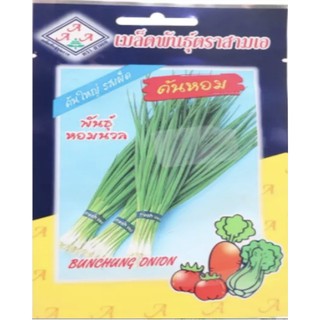 AAA 🇹🇭 ผักซอง A112# ต้นหอม (พันธุ์หอมนวล) เมล็ดพันธุ์ เมล็ดพันธุ์ผัก เมล็ดพันธุ์ ผักสวนครัว ตราAAA สามเอ