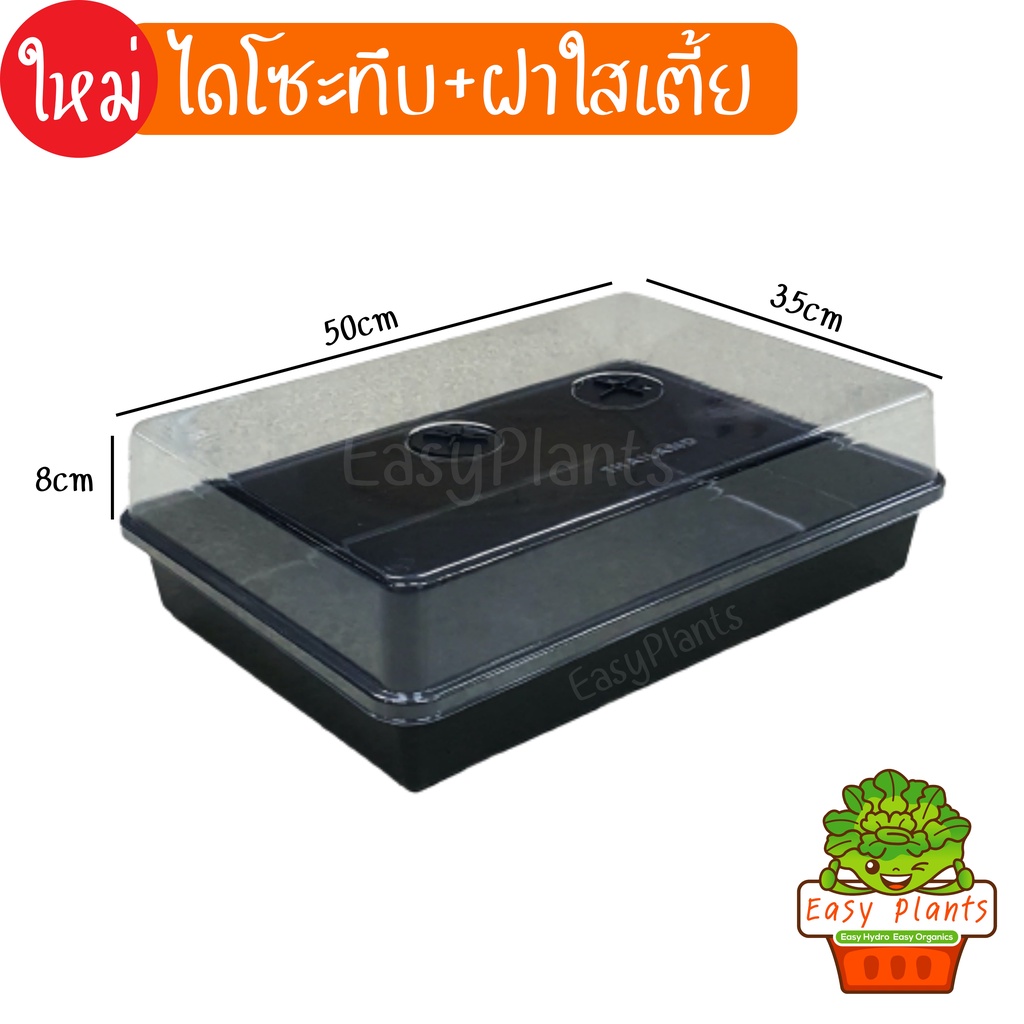 ชุดถาดไดโซะ หลายขนาด สำหรับเพาะเมล็ด อนุบาล ฝาใสไว้อบ มีช่องระบายอากาศ  ผักสลัด พร้อมฝาปิด
