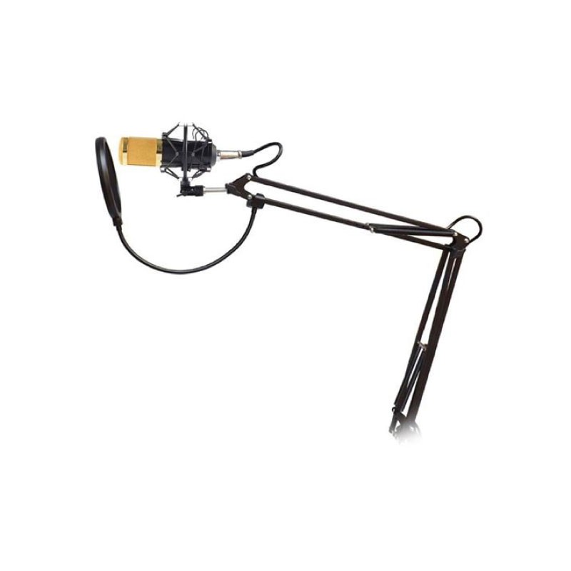 ชุดไมค์ ไมค์อัดเสียง คอนเดนเซอร์ BM-800 SET Professional Condenser Mic Microphone พร้อมขาตั้ง