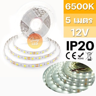 ไฟเส้น LED STRIP แสงสี ขาว 6500k 12V เส้นเปลือย IP20 ยาว 5เมตร รหัส:C-P5050-6500K-IP20 / (SP-1)