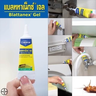 lot ใหม่ล่าสุด 💥ส่งไวทุกวัน💥 เจลกำจัดแมลงสาบ Bayer Blattanex Gel (ไบเออร์ แบลททาเน็กซ์ เจล) 12g