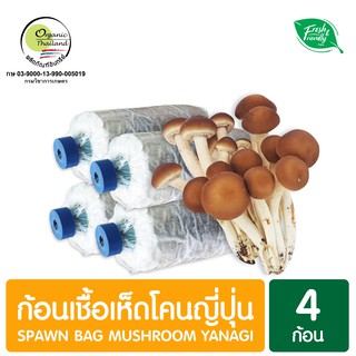 ก้อนเชื้อเห็ดโคนญี่ปุ่น แพ็ค 4 ก้อน Spawn Bag Mushroom Yanagi