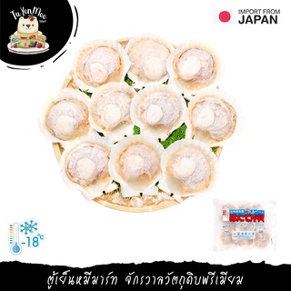 8PCS/1PACK หอยเชลล์ฮอกไกโดครึ่งฝา  HOKKAIDO HALF SHELL SCALLOP (HOTATE KATAGAI)