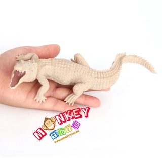 Monkey Toys - โมเดลสัตว์ จระเข้ เผือก ขนาด 20.50 CM (จากหาดใหญ่)