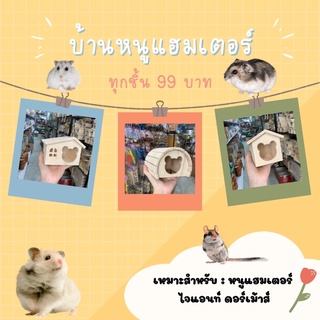 💢พร้อมจัดส่ง💢 บ้านหนูแฮมเตอร์ บ้านไจแอนท์ บ้านหลบภัย ของแต่งกรงหนูแฮมเตอร์ ของเล่นหนูแฮมเตอร์ 3 แบบ