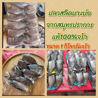 🐟[ 1 กิโลกรัม] ปลาสลิดบางบ่อแท้ๆ100%อร่อยไม่เค็มทอดหอมๆอืมมม อาหร่อยยยย