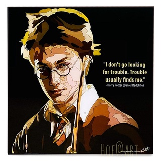 Harry Potter แฮร์รี่ พอตเตอร์ รูปภาพ​ติด​ผนัง ​pop​ art แฟนตาซี กรอบรูป แต่งบ้าน ของขวัญ ของสะสม