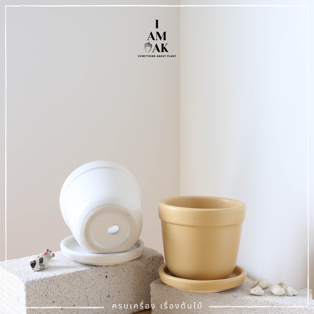 มุมมอง 3