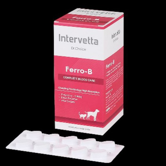 Intervetta Dr.Choice Ferro-B เฟอโร-บี อาหารเสริมบำรุงเลือดสำหรับสุนัขและแมว