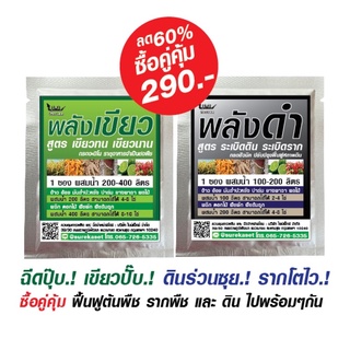 ชุดคู่คุ้ม  พลังเขียว สูตร เขียวทน เขียวนาน และ พลังดำ สูตร ระเบิดดิน ระเบิดราก ฉีดปุ๊บเขียวปุ๊บฟื้นต้นโทรม บำรุงราก ดิน