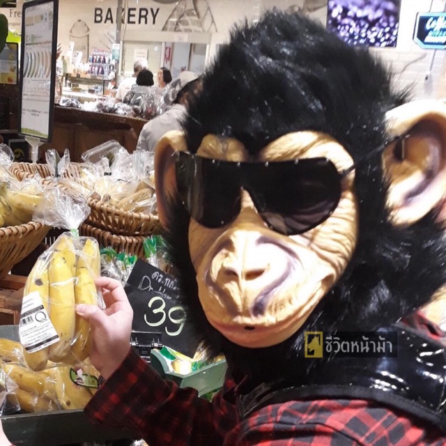 หน้ากากลิง หัวลิง หน้ากากสัตว์ หน้ากากแฟนซี ธีมซาฟารี อุปกรณ์ปาร์ตี้