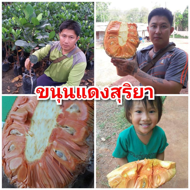 My Image 15