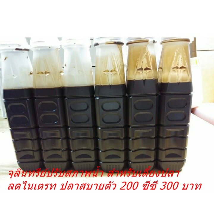 รวมกัน 104+ ภาพพื้นหลัง จุลินทรีย์ อรุณสวัสดิ์ ครบถ้วน