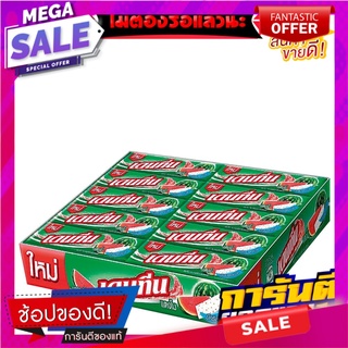 เดนทีน สติ๊ก หมากฝรั่ง กลิ่นแตงโม 13.5 กรัม แพ็ค 20 ห่อ Dentyne Watermelon Stick Gum 13.5 g x 20