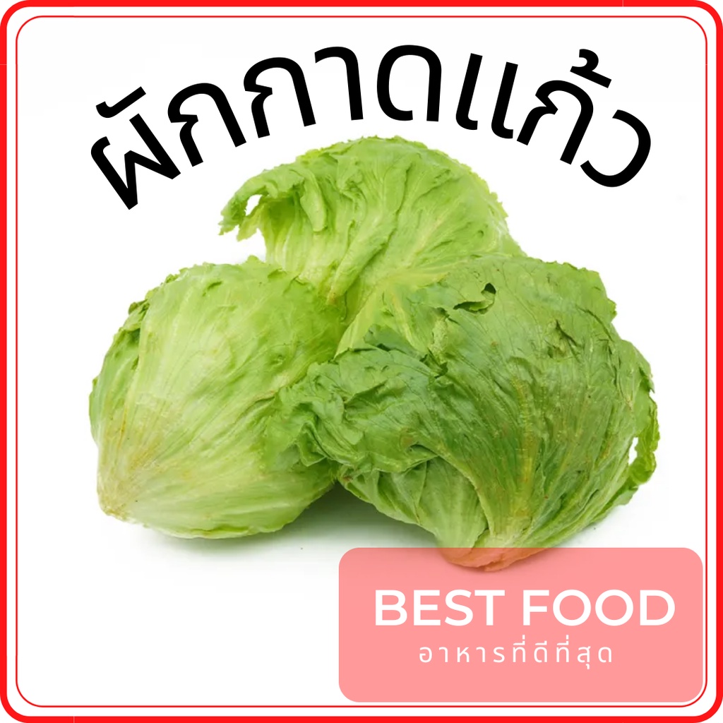 ผักกาดแก้ว ผักสด ราคาถูก lettuce