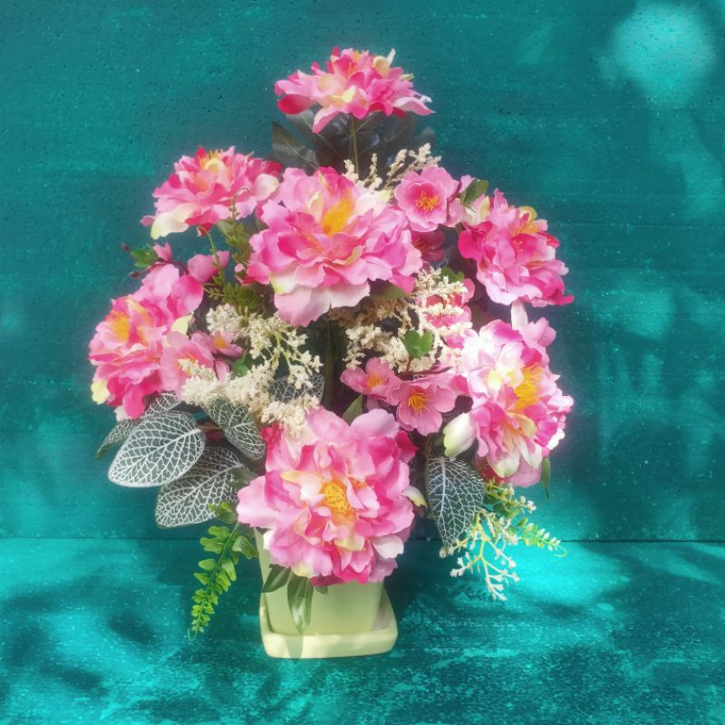 My Image 7