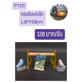 คอนลับเล็บ นกเล็ก คอนอะครีลิก คละสีคลาสิก้า P120