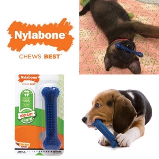 Nylabone ของเล่นขัดฟัน