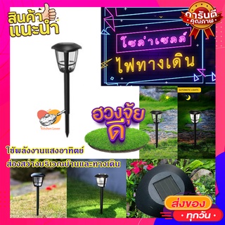 ไฟทางเดินโซล่าเซล ( 1 อัน) 💡 ไฟแต่งสวน ไฟปักสนาม พลังงานแสงอาทิตย์โซล่าเซลล์ Solar LED Light ไฟทางเดิน ไฟปักทางเดิน