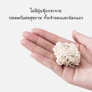 CatHoliday ทรายเต้าหู้พรีเมี่ยม Randolph ทรายแมว