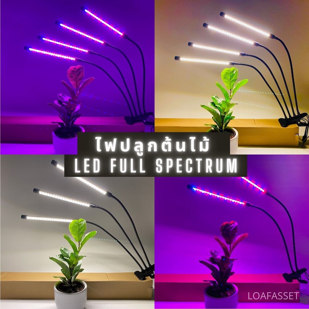 ไฟโซล่าเซลล์、 โคมไฟตั้งโต๊ะ、PG ชุดไฟไลฟ์สด ✷🔥พร้อมส่ง🔥ไฟปลูกต้นไม้ led grow light full spectrum หลอดไฟปลูกต้นไม้ โคมปล