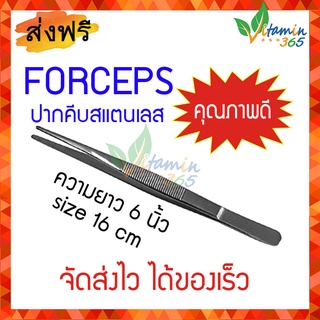 ฟอร์เซบ ( Smooth Forceps ) ปากคีบ คีมคีบ คีมจับ Tweezer สแตนเลส ความยาว 6 นิ้ว